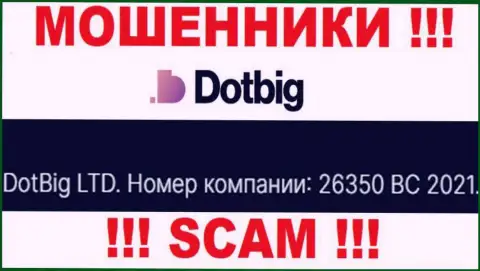 Номер регистрации мошенников DotBig, опубликованный ими у них на web-сервисе: 26350 BC 2021