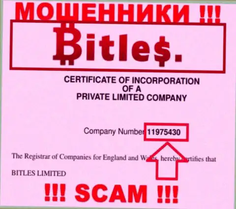 Номер регистрации мошенников Bitles, с которыми весьма рискованно взаимодействовать - 11975430