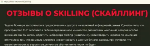 Skilling это контора, сотрудничество с которой доставляет только лишь убытки (обзор деятельности)