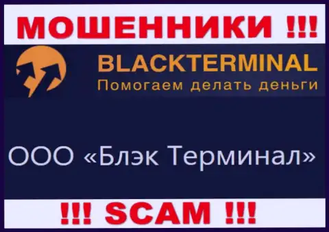 На официальном веб-ресурсе BlackTerminal Ru отмечено, что юридическое лицо организации - ООО Блэк Терминал