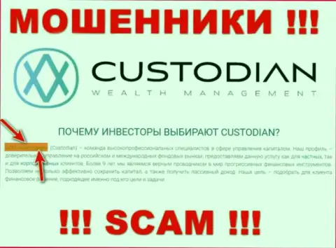 Юридическим лицом, управляющим internet мошенниками Custodian, является ООО Кастодиан