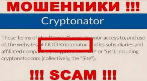 Организация Криптонатор Ком находится под управлением организации OOO Криптонатор