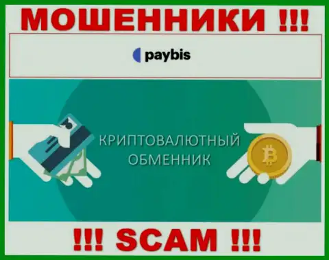 Крипто обменник - это тип деятельности мошеннической компании PayBis
