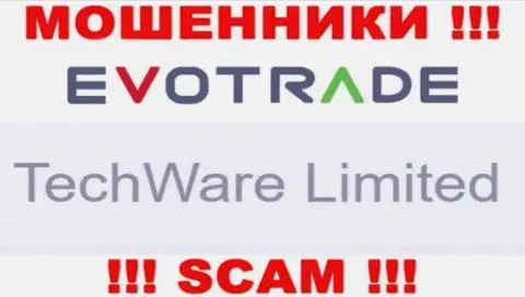 Юридическим лицом EvoTrade считается - TechWare Limited