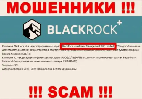 Руководством BlackRock Plus является компания - БлэкРок Инвестмент Менеджмент (УК) Лтд