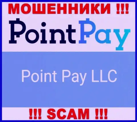 Юридическое лицо интернет-мошенников Point Pay - это Поинт Пэй ЛЛК, информация с онлайн-сервиса аферистов