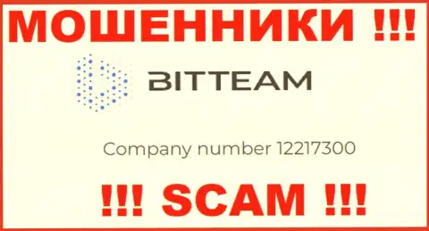 Рег. номер компании Bit Team - 12217300