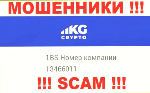 Регистрационный номер организации CryptoKG, Inc, в которую финансовые средства советуем не отправлять: 13466011