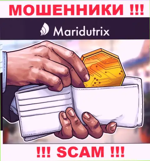 Крипто кошелек - конкретно в этой сфере промышляют профессиональные интернет кидалы Maridutrix Com
