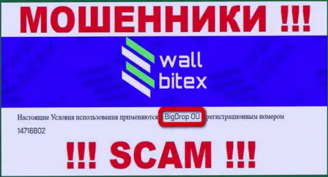 WallBitex Com это МОШЕННИКИ !!! Управляет этим лохотроном БигДроп ОЮ