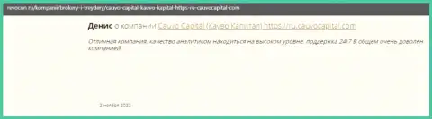 Дилинговая компания Cauvo Capital описана в реальном отзыве на веб-портале Ревокон Ру