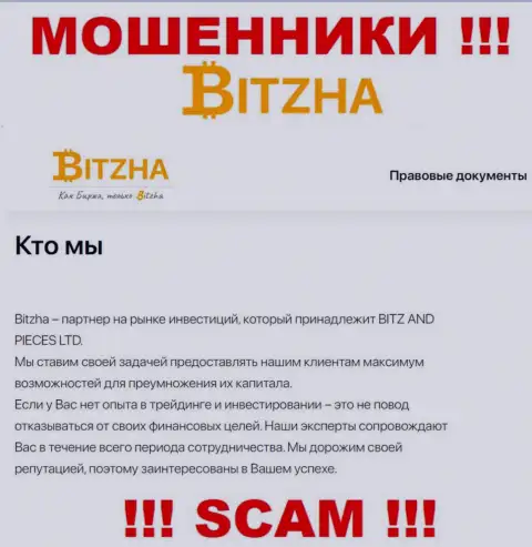 Bitzha24 - это наглые обманщики, сфера деятельности которых - Investing
